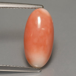 Coral bicolor natural de 3,18 ct, corte óvalo, opaco