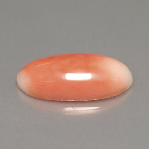 Coral bicolor natural de 3,18 ct, corte óvalo, opaco
