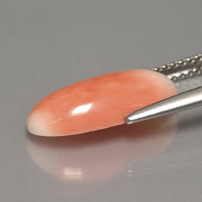 Coral bicolor natural de 3,18 ct, corte óvalo, opaco