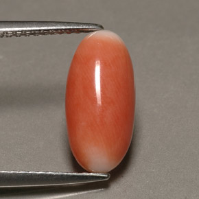 Coral bicolor natural de 2,23 ct, corte óvalo, opaco
