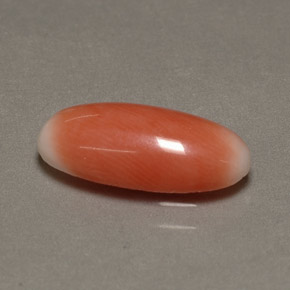 Coral bicolor natural de 2,23 ct, corte óvalo, opaco