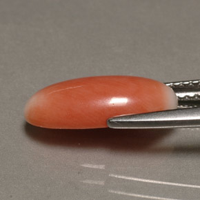 Coral bicolor natural de 2,23 ct, corte óvalo, opaco