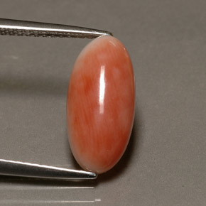 Coral rosa natural de 3,10 ct, corte óvalo, opaco