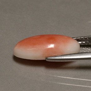Coral rosa natural de 3,10 ct, corte óvalo, opaco