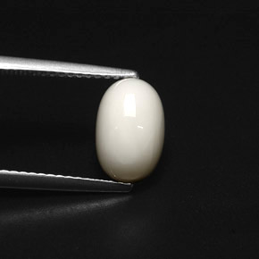 Coral blanco natural de 2,49 ct, corte óvalo, opaco