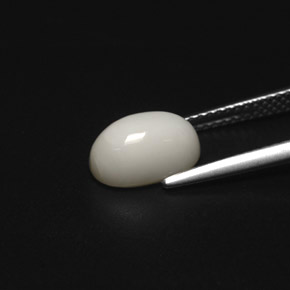 Coral blanco natural de 2,49 ct, corte óvalo, opaco