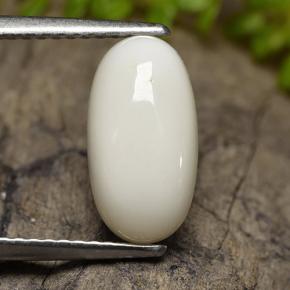 Coral Blanco natural de 2.47 ct, Corte Óvalo, Opaco