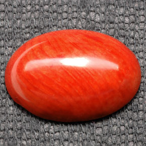 Coral naranja natural de 7,43 ct, corte óvalo, opaco