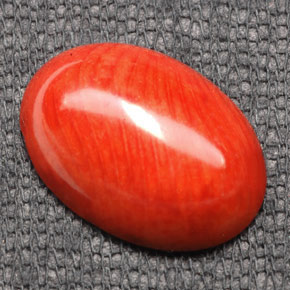 Coral naranja natural de 7,43 ct, corte óvalo, opaco
