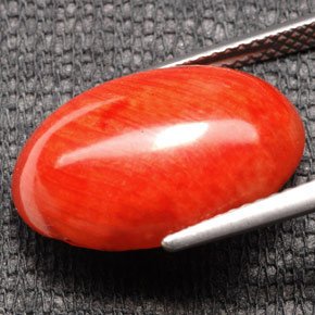 Coral naranja natural de 7,43 ct, corte óvalo, opaco