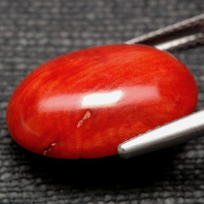 Coral Naranja natural de 9.84 ct, Corte Óvalo, Opaco