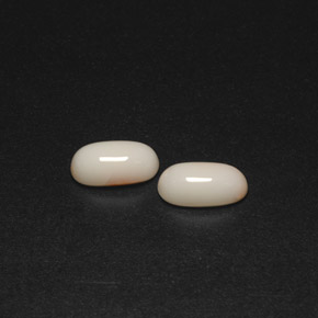 Gemas de coral blanco natural de  ct, corte óvalo, opaco