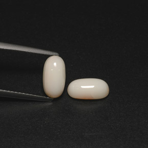 Gemas de coral blanco natural de  ct, corte óvalo, opaco