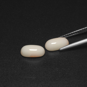 Gemas de coral blanco natural de  ct, corte óvalo, opaco