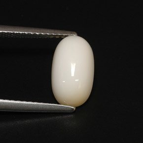 Coral blanco natural de 2,81 ct, corte óvalo, opaco