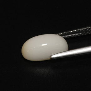 Coral blanco natural de 2,81 ct, corte óvalo, opaco