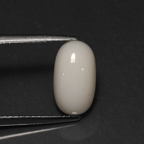 Coral blanco natural de 2,78 ct, corte óvalo, opaco