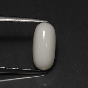 Coral blanco natural de 2,73 ct, corte óvalo, opaco