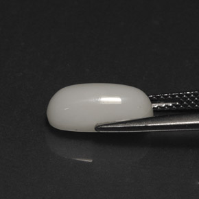 Coral blanco natural de 2,73 ct, corte óvalo, opaco