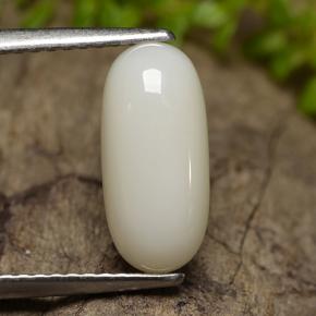 Coral blanco natural de 2,50 ct, corte óvalo, opaco