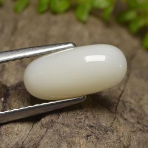 Coral blanco natural de 2,50 ct, corte óvalo, opaco