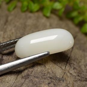 Coral blanco natural de 2,50 ct, corte óvalo, opaco