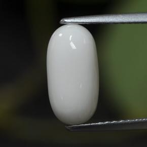 Coral blanco natural de 2,63 ct, corte óvalo, opaco