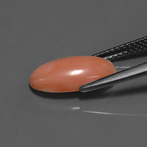 Coral Salmon blanco natural de 2.52 ct, Corte Óvalo, Opaco