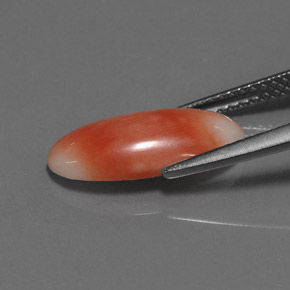 Coral rosa natural de 2,55 ct, corte óvalo, opaco