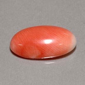Coral rosa natural de 2,85 ct, corte óvalo, opaco