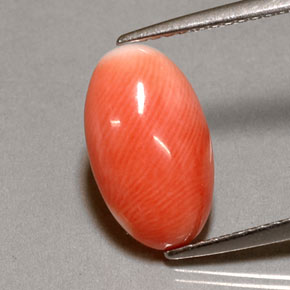 Coral rosa natural de 2,85 ct, corte óvalo, opaco