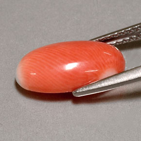 Coral rosa natural de 2,85 ct, corte óvalo, opaco