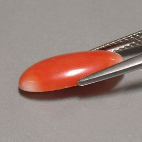 Coral Salmon blanco natural de 2.62 ct, Corte Óvalo, Opaco