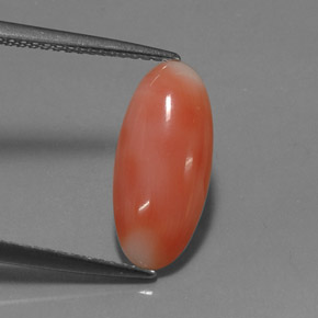 Coral rosa natural de 2,03 ct, corte óvalo, opaco