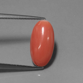 Coral rosa natural de 2,76 ct, corte óvalo, opaco