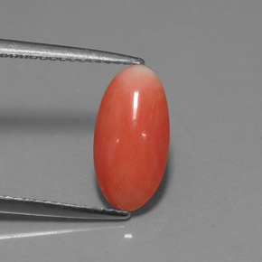 Coral rosa natural de 1,69 ct, corte óvalo, opaco