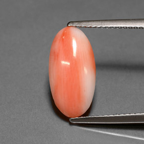 Coral rosa natural de 2,00 ct, corte óvalo, opaco