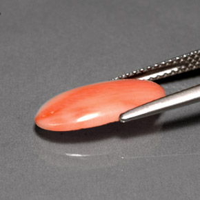 Coral rosa natural de 2,00 ct, corte óvalo, opaco