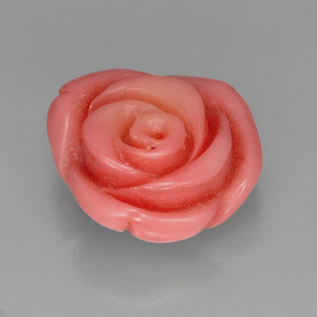 Coral rosa natural de 12,20 ct, forma elegante, opaco