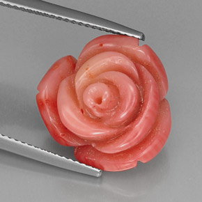 Coral rosa natural de 13,65 ct, forma elegante, opaco