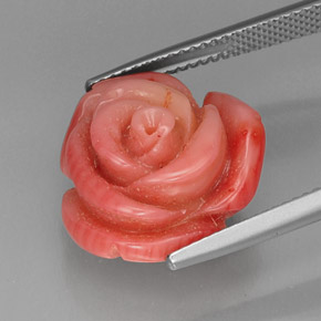Coral rosa natural de 13,65 ct, forma elegante, opaco