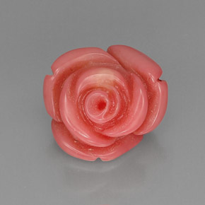Coral rosa natural de 10,17 ct, forma elegante, opaco