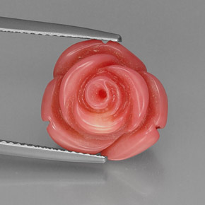 Coral rosa natural de 10,17 ct, forma elegante, opaco