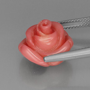 Coral rosa natural de 10,17 ct, forma elegante, opaco