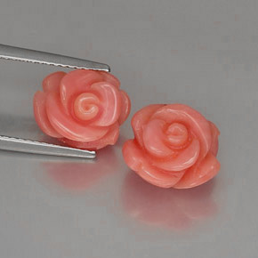 Gemas de Coral Salmón natural de  ct, Forma elegante, Opaco