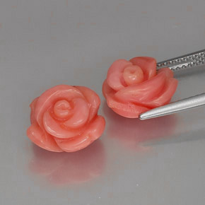 Gemas de Coral Salmón natural de  ct, Forma elegante, Opaco