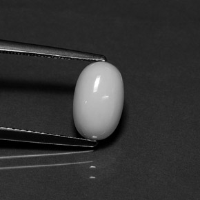 Coral blanco natural de 2,29 ct, corte óvalo, opaco