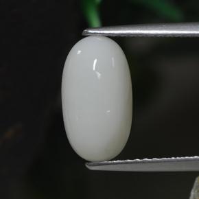 Coral blanco natural de 2,30 ct, corte óvalo, opaco
