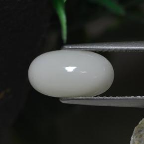 Coral blanco natural de 2,30 ct, corte óvalo, opaco