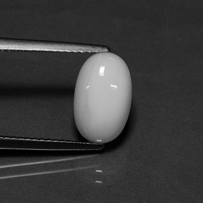 Coral blanco natural de 2,54 ct, corte óvalo, opaco